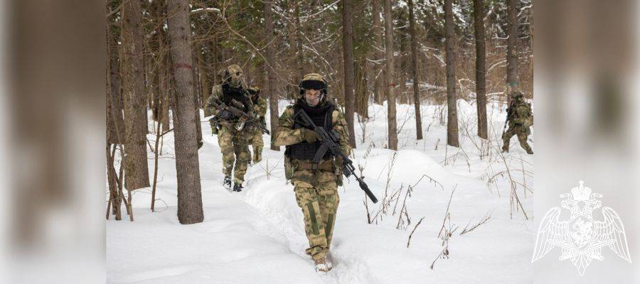 Оружие и боеприпасы иностранного производства обнаружили военнослужащие Росгвардии и сотрудники ФСБ в ЛНР