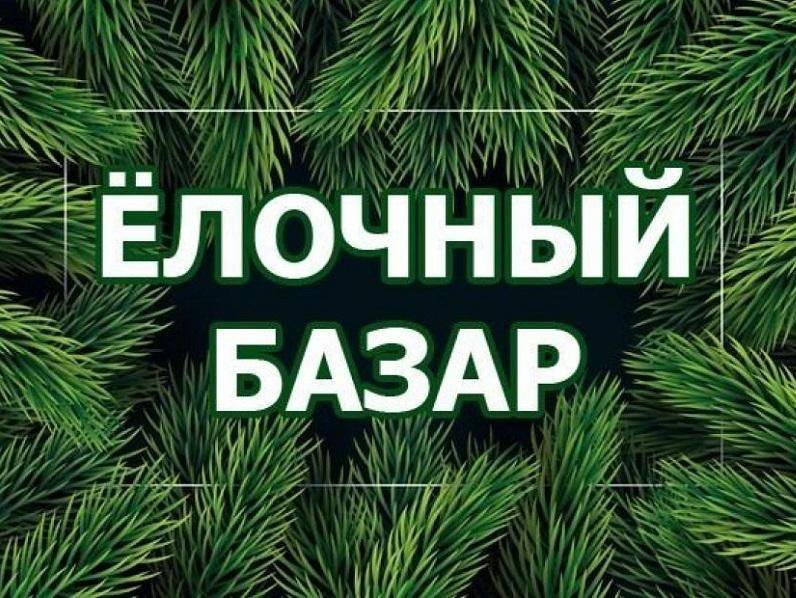 С 15 декабря 2024 года на территории Яковлевского муниципального округа начнут свою работу «Елочные базары»