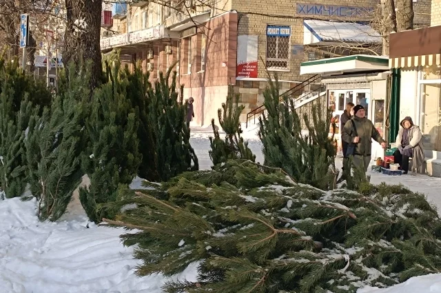 В Белгородской области 16 школьников не сдали итоговое сочинение1