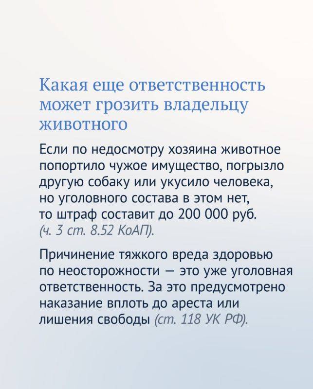 Штраф до 30 тыс. рублей теперь могут заплатить собачники за неправильный выгул своих питомцев