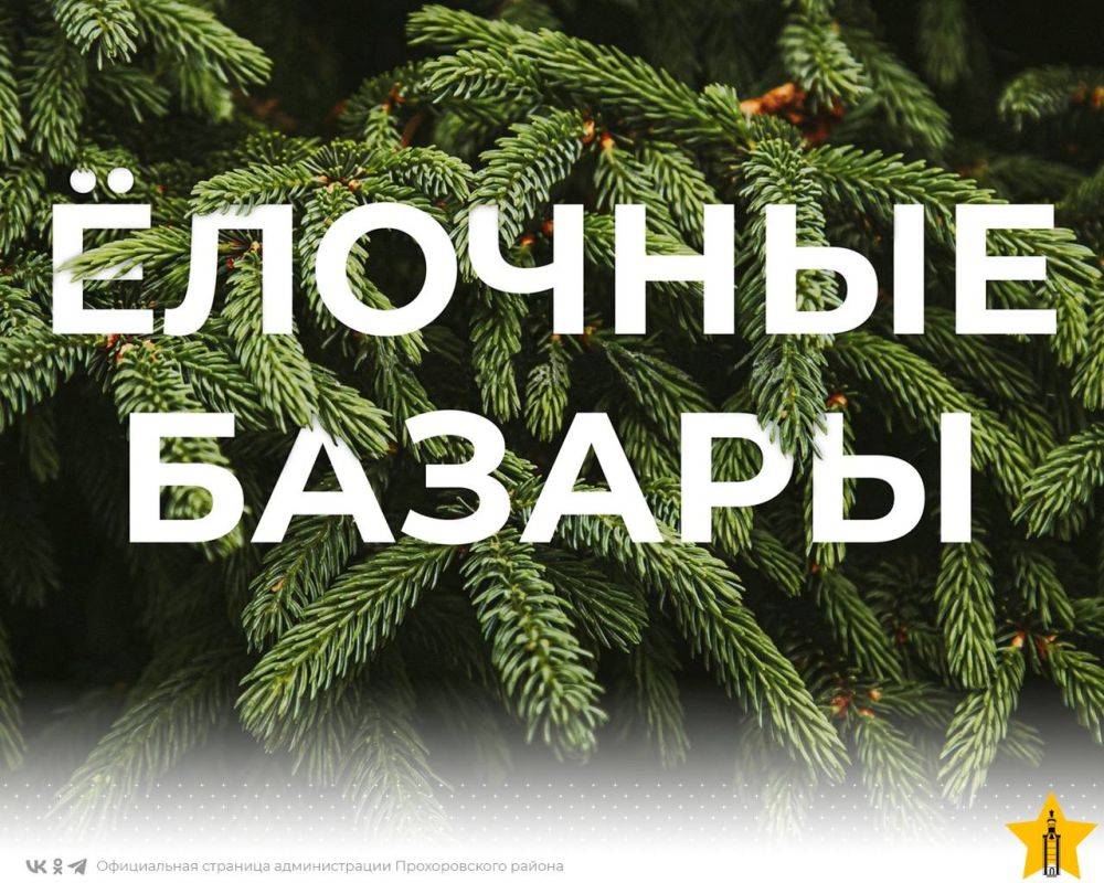 Традиция украшать ёлку к Новому году занимает особое место в сердцах россиян и это действительно стало неотъемлемой частью новогодних праздников