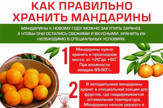 Салат «Оливье» на Белгородчине оказался в числе самых дешёвых в Черноземье1