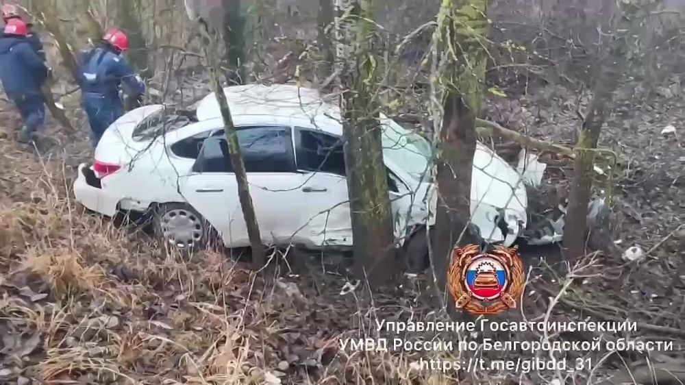 В Старооскольском округе легковушка врезалась в дерево