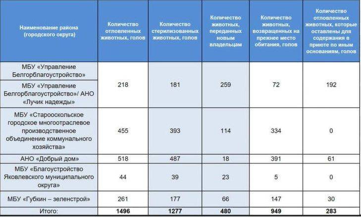 Эффективность работы муниципальных приютов для животных обсудят на встречах с зоозащитниками