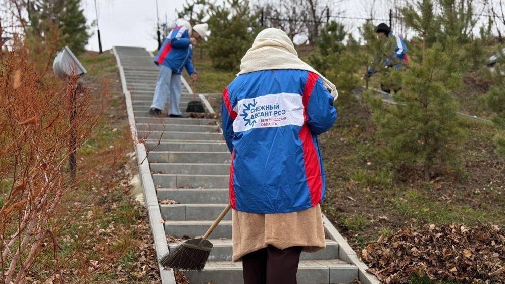 Белгородские студенты-волонтёры отправятся в Таджикистан и Кыргызстан с гуманитарной миссией