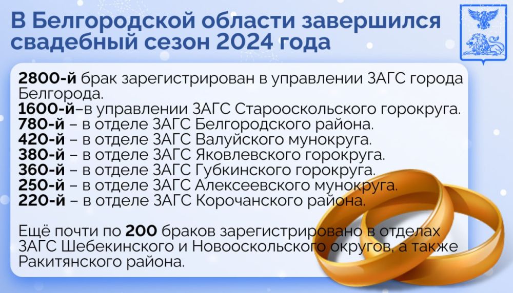 В Белгородской области завершился свадебный сезон 2024 года