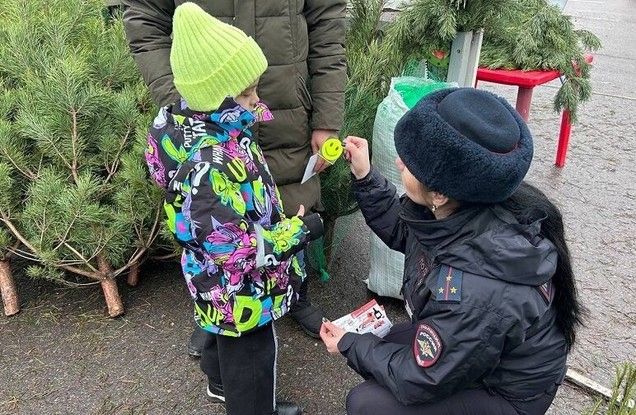 Ёлочные базары в Белгороде стали консультационными площадками по дорожной безопасности