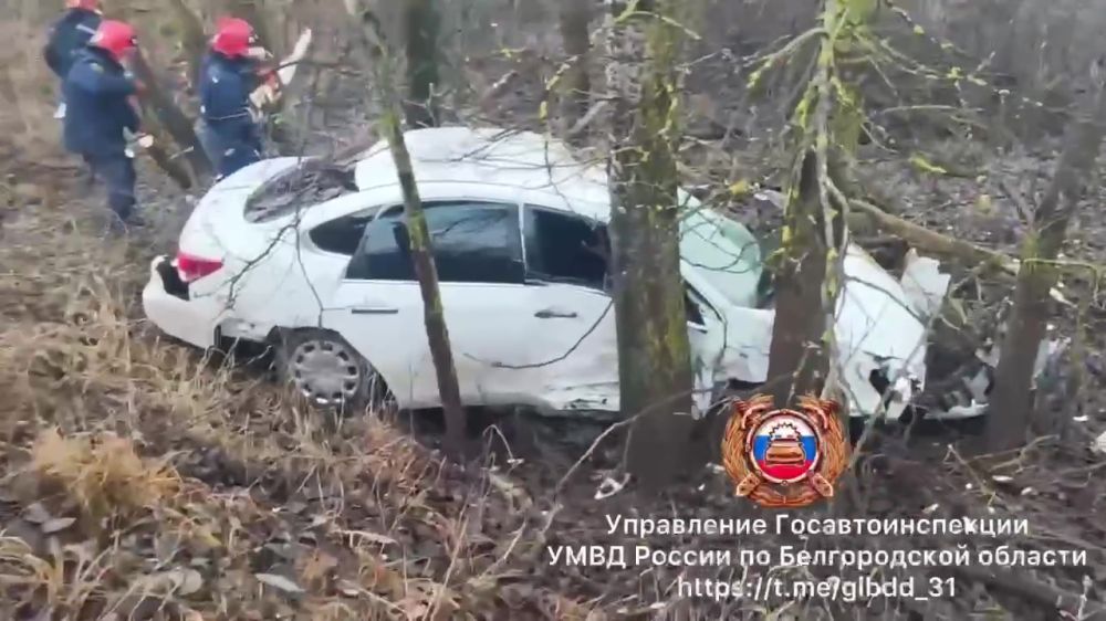 В Старооскольском округе легковушка врезалась в дерево