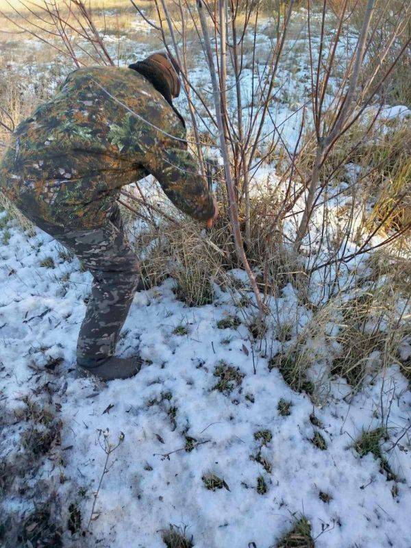 МБУ «Благоустройство Яковлевского муниципального округа» продолжает уборку территорий