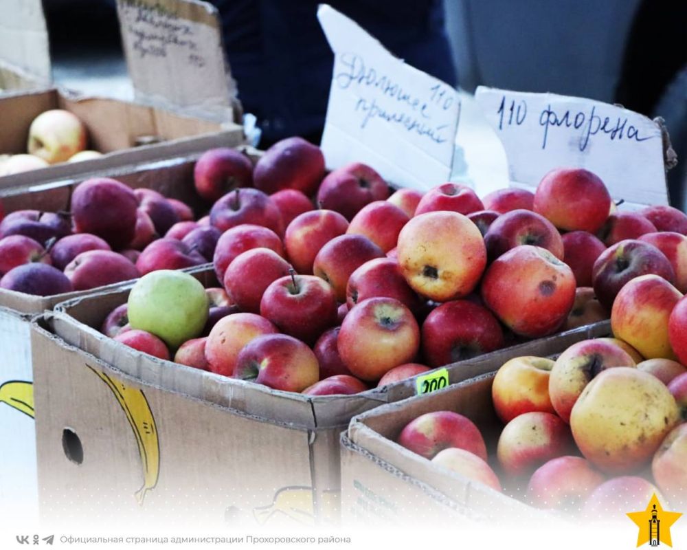 Продукты к новогоднему столу можно было купить на предновогодней ярмарке в Прохоровке