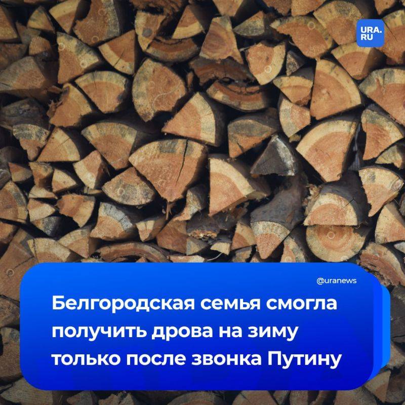 Инвалид из Белгородской области смог получить дрова на зиму только после звонка на прямую линию Путина