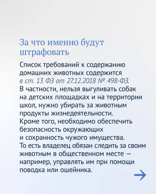 Штраф до 30 тыс. рублей теперь могут заплатить собачники за неправильный выгул своих питомцев