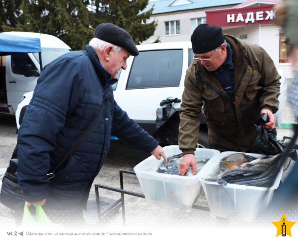 Продукты к новогоднему столу можно было купить на предновогодней ярмарке в Прохоровке