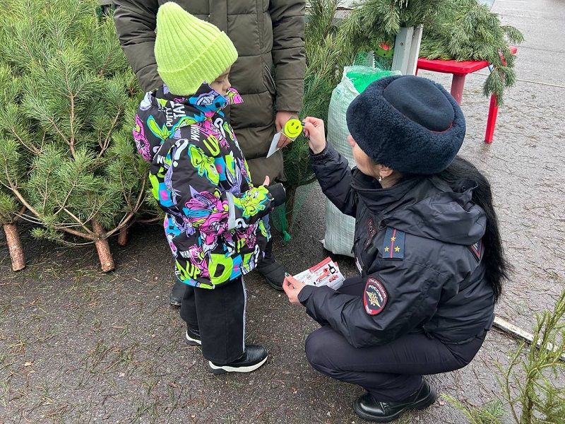 В Белгороде «Ёлочные базары» стали консультационными площадками по дорожной безопасности