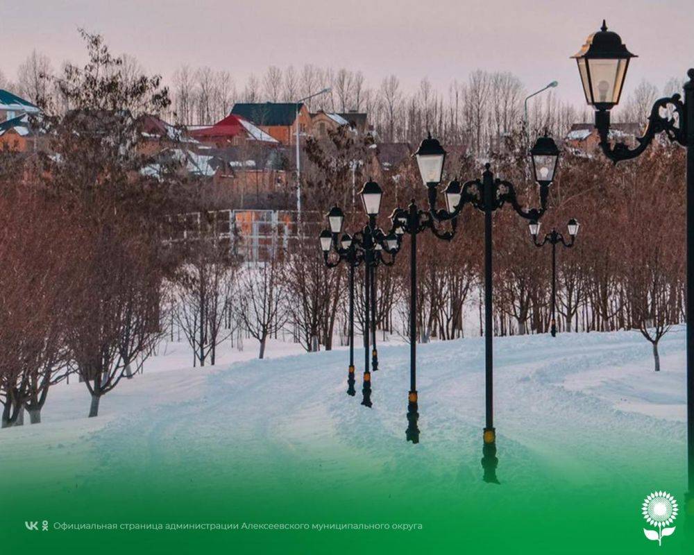 13 декабря. Температура воздуха -7°C, пасмурно, снег