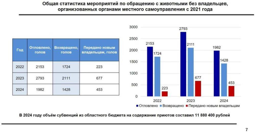 Эффективность работы муниципальных приютов для животных обсудят на встречах с зоозащитниками