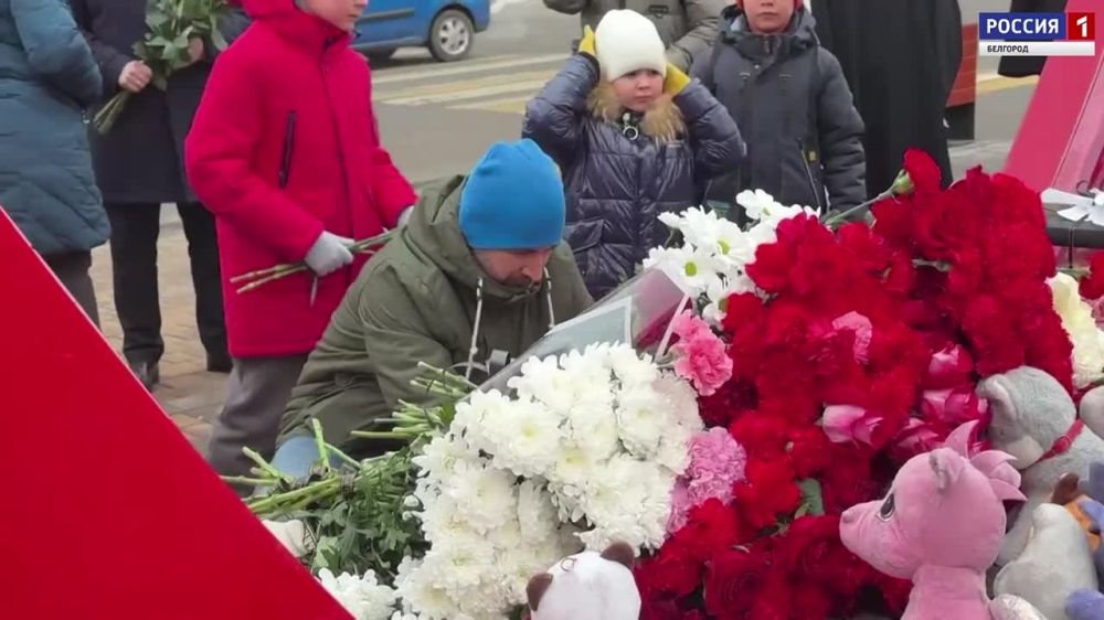 Боль в «Сердце Белгорода»