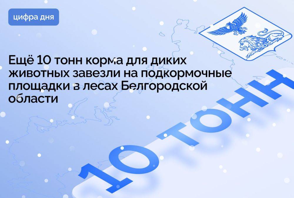 Ещё 10 тонн корма для диких животных завезли на подкормочные площадки в лесах Белгородской области