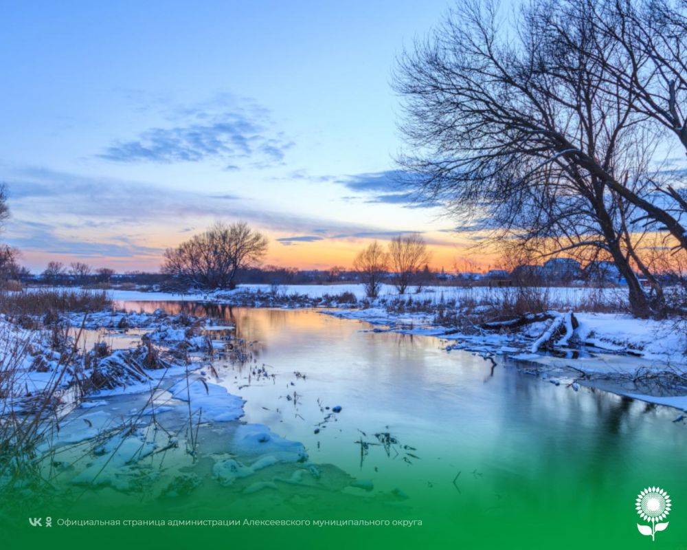 19 декабря. Температура воздуха -4°C, пасмурно, небольшой снег