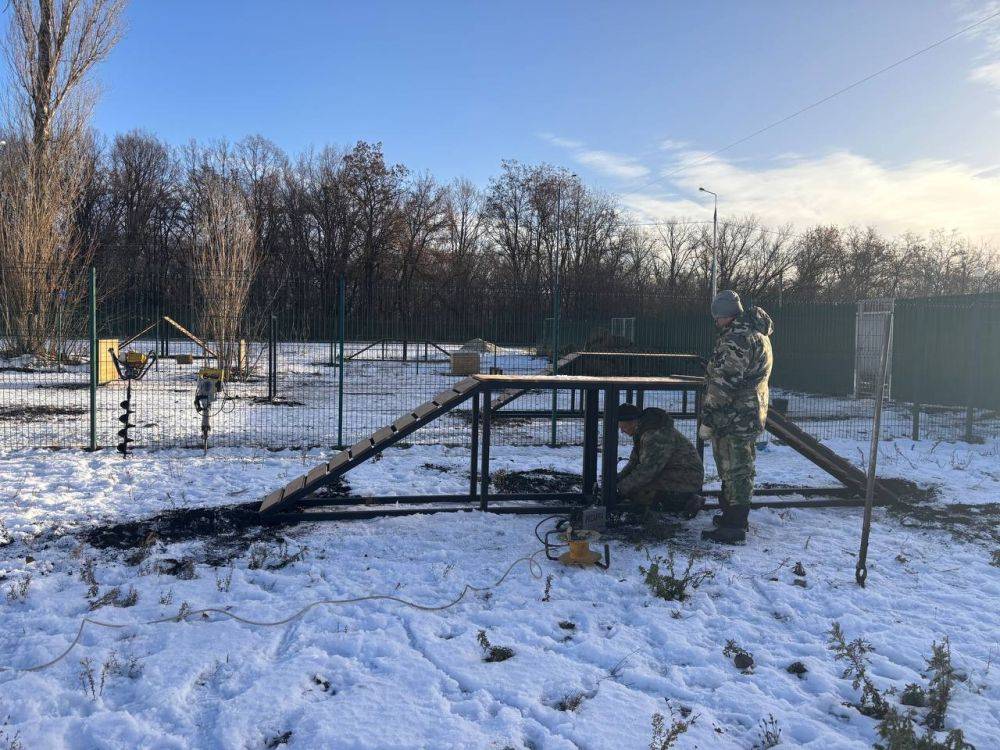 В Белгороде обустраивают приют для животных на ул. Коммунальной, 22