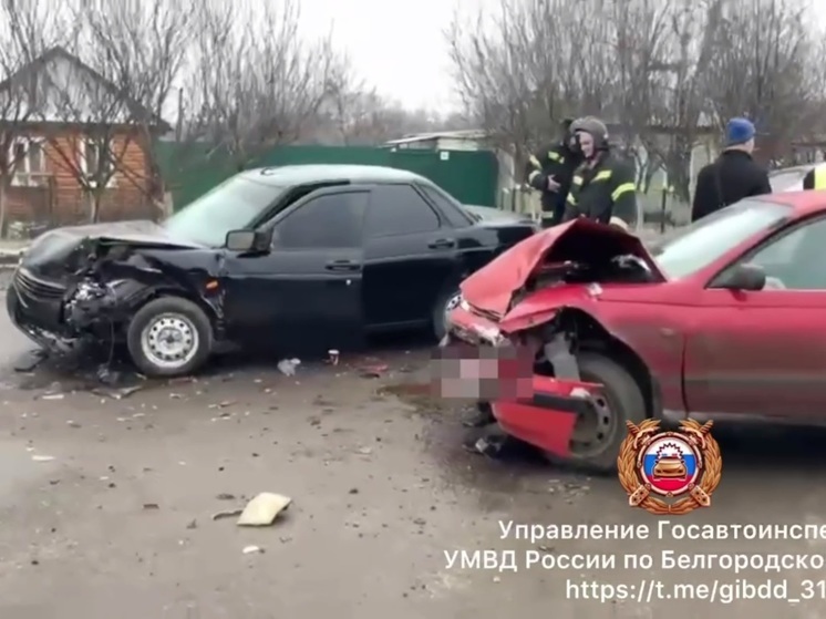 Молодой водитель и его пассажирка пострадали в ДТП в Алексеевском округе