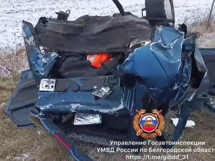 Смертельное ДТП произошло в Белгородской области 1 декабря