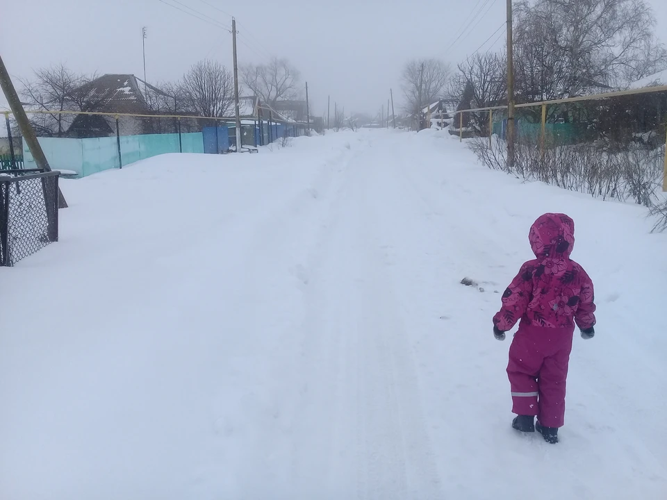 Снег и сильный ветер ожидаются в Белгородской области 12 декабря0