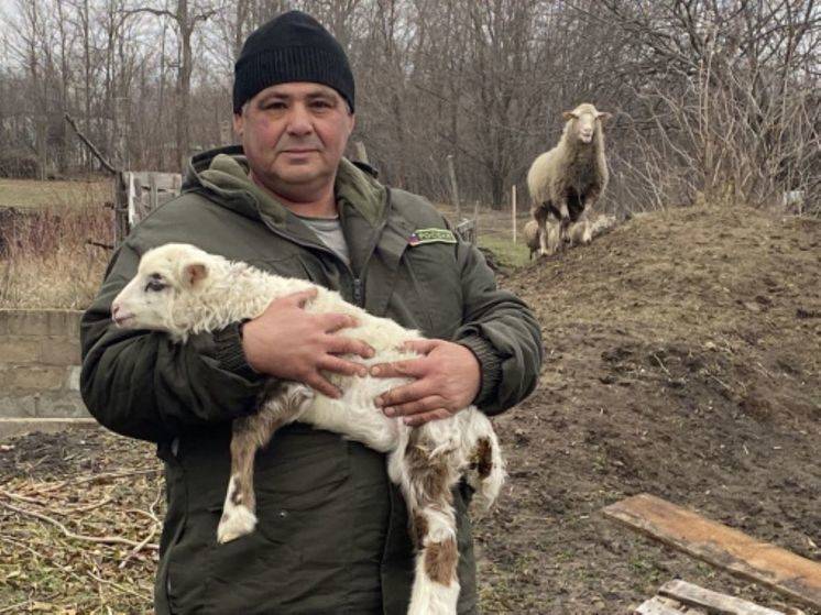 Соцконтракт помог жителю белгородского села купить овец