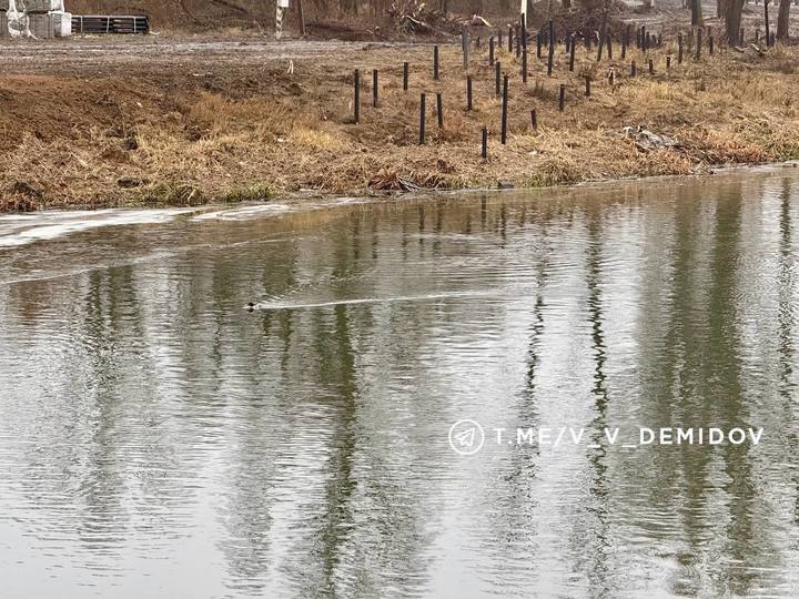 В Белгороде продолжается благоустройство набережной Северского Донца3