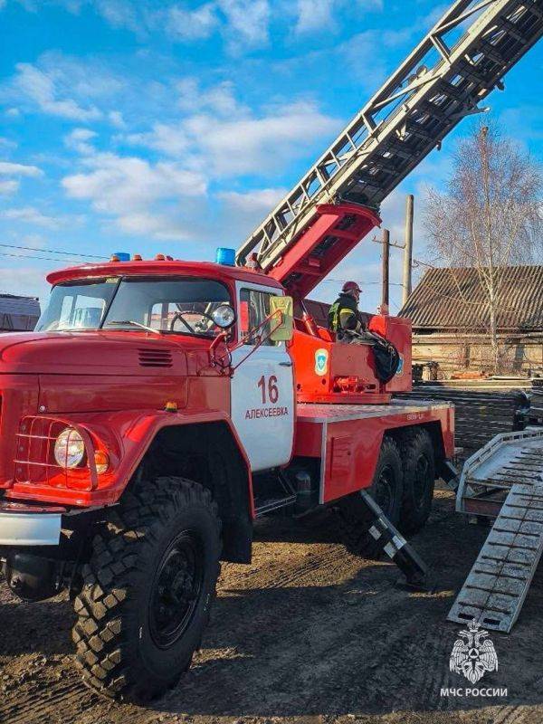 Пушистый беглец. В Алексеевке Белгородской области за помощью к сотрудникам МЧС России обратилась женщина. Ее домашний питомец не мог спуститься с верхушки дерева. Своим жалобным мяуканьем он собрал сочувствующую публику