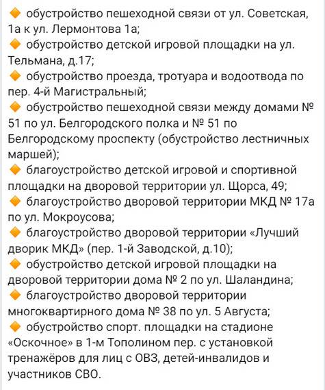 10 инициативных проектов жителей Белгорода реализуют в 2025 году1