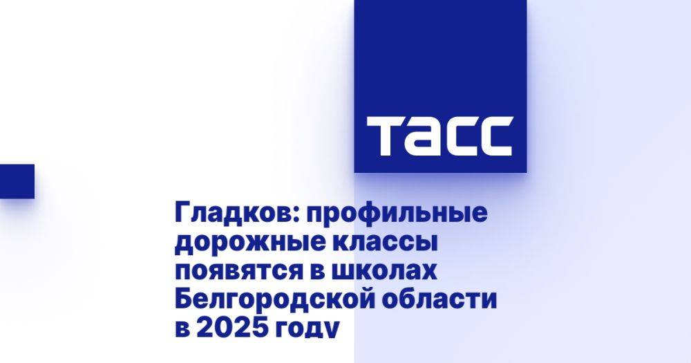 Гладков: профильные дорожные классы появятся в школах Белгородской области в 2025 году