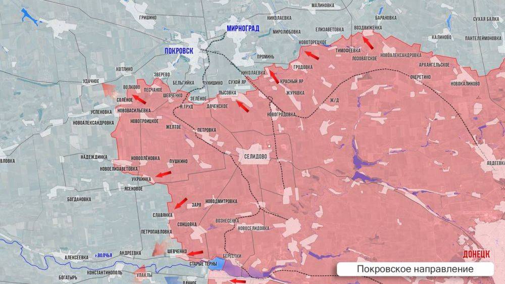 Олег Царёв: Фронтовая сводка 10 января