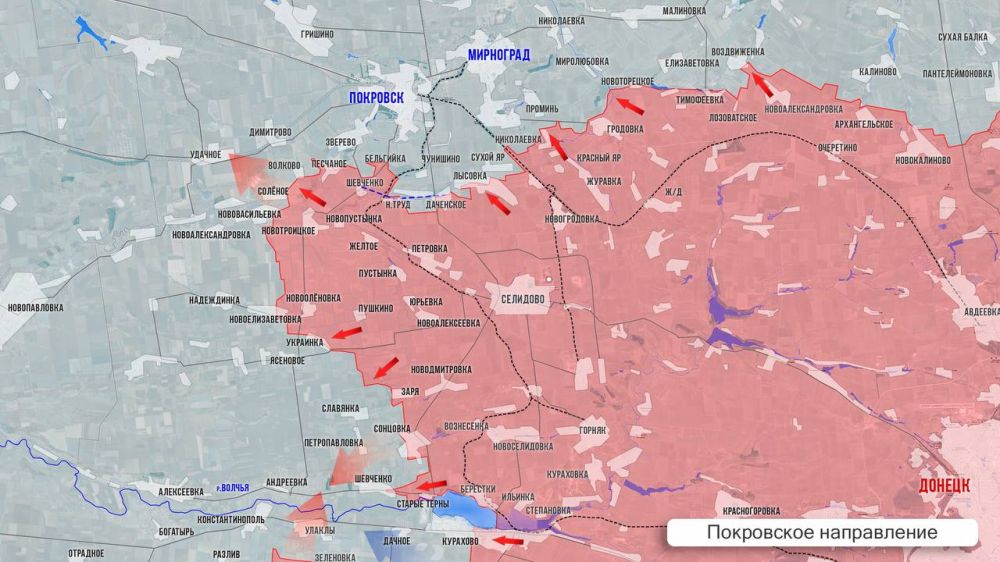 Олег Царёв: Фронтовая сводка 4 января