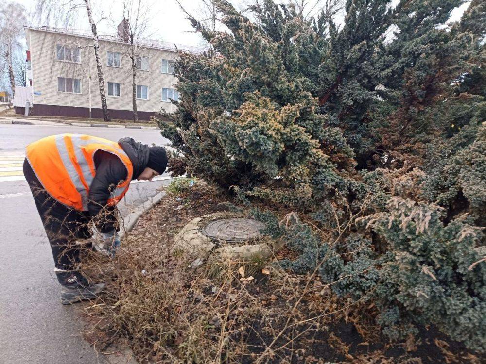 Специалисты Краснояружского зеленстроя ежедневно следят за санитарным порядком населенных пунктов района