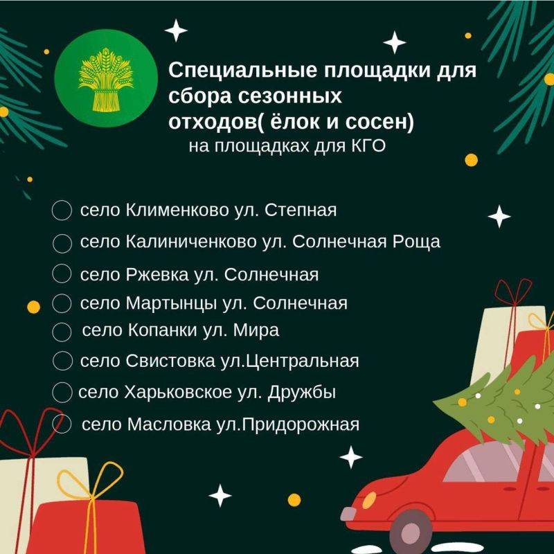 Татьяна Киричкова: Куда девать ёлку после новогодних праздников?