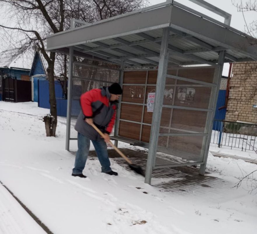 Светлана Халеева: Ночь перед Рождеством порадовала нас зимней погодой, но добавила работы коммунальным службам