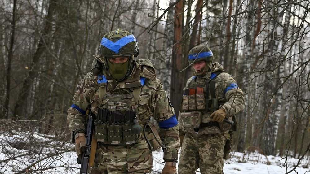 Два мирных жителя пострадали в результате атаки ВСУ на Белгородскую область