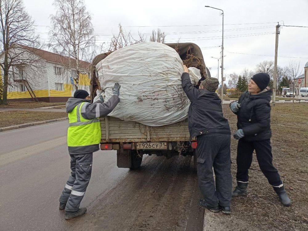 Специалисты Краснояружского зеленстроя ежедневно следят за санитарным порядком населенных пунктов района