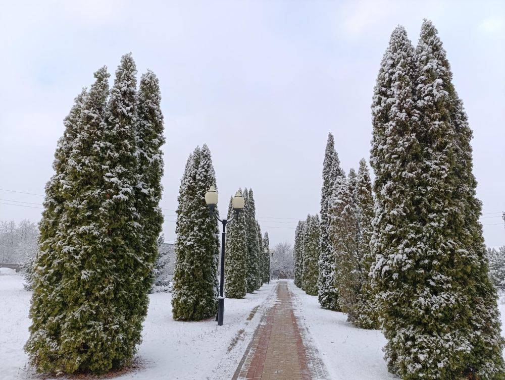 Фото от наших подписчиков