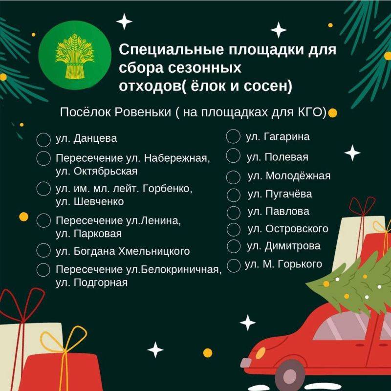 Татьяна Киричкова: Куда девать ёлку после новогодних праздников?