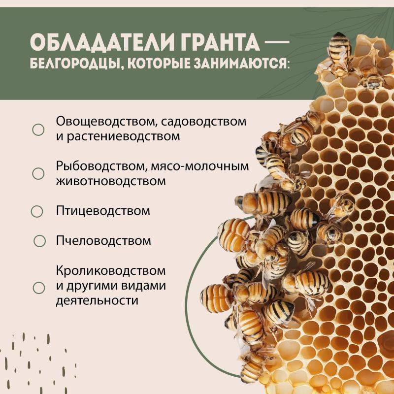 140 фермеров из Белгородской области получили гранты «Агростартап»