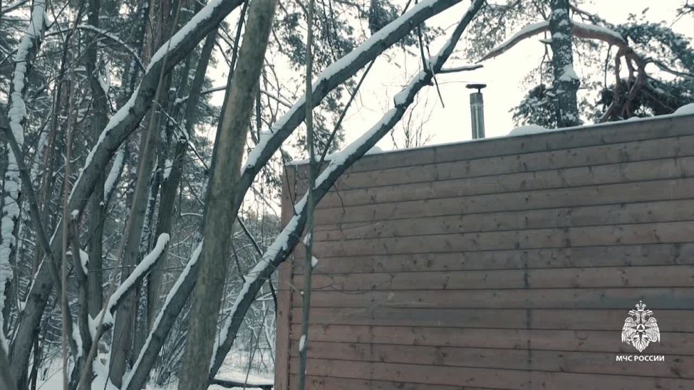 Зимние праздники — это не только множество весёлых традиций, но и отличная возможность закалить организм и укрепить здоровье