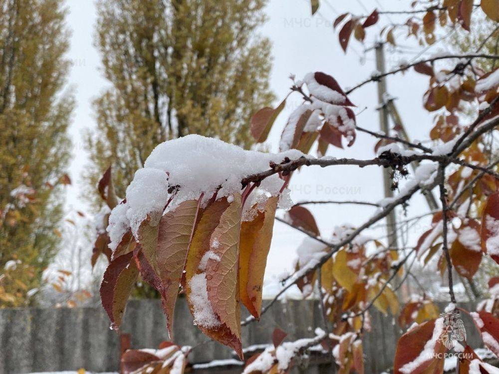 В пятницу небольшой снег, днём температура воздуха около 0°