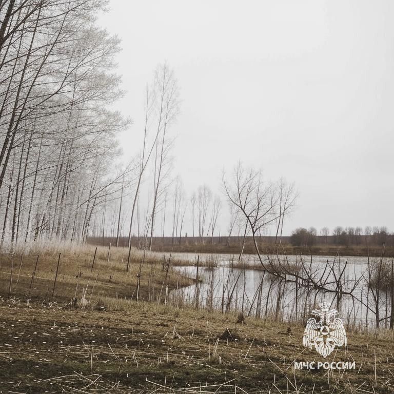 #ПрогнозПогоды. 2 января на территории Белгородской области ожидается облачная с прояснениями погода. Без существенных осадков. Ветер юго-западный 8-13 м/с, местами порывы 15-18 м/с. Температуры воздуха ночью колеблется от 1...