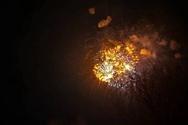 Полицейские нашли белгородца, запускавшего фейерверк на Старый Новый год1