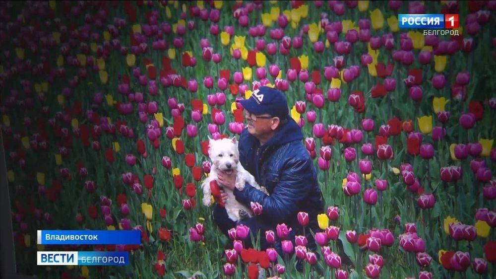 Любимый и родной белый город глазами фотографа Антона Вергуна