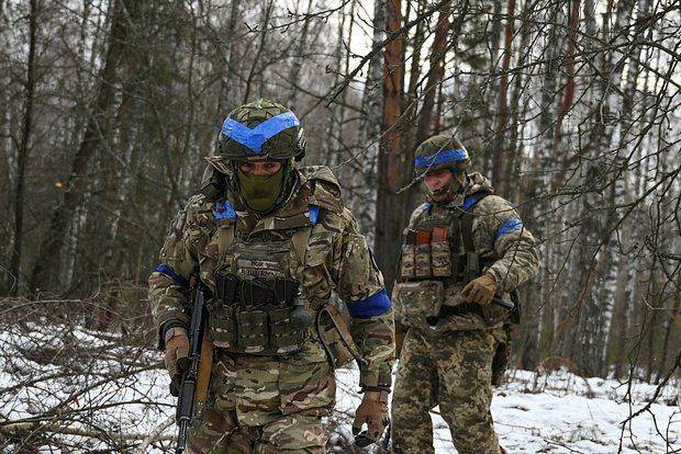 Шесть украинских пограничников сдались в плен на границе с Белгородской областью