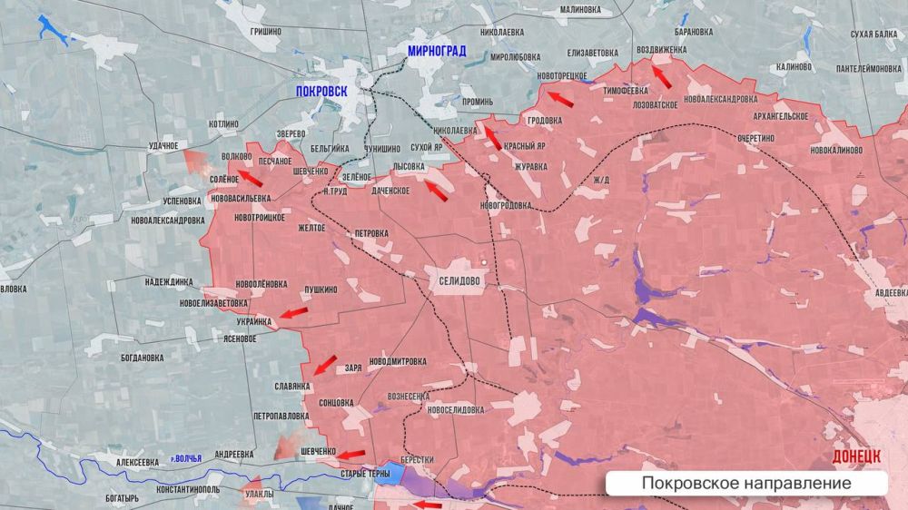 Олег Царёв: Фронтовая сводка 8 января