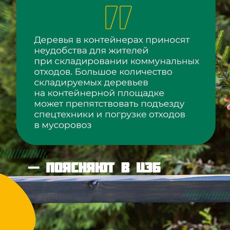 Праздники закончены, салаты съедены, новогодние фильмы просмотрены — осталась только она